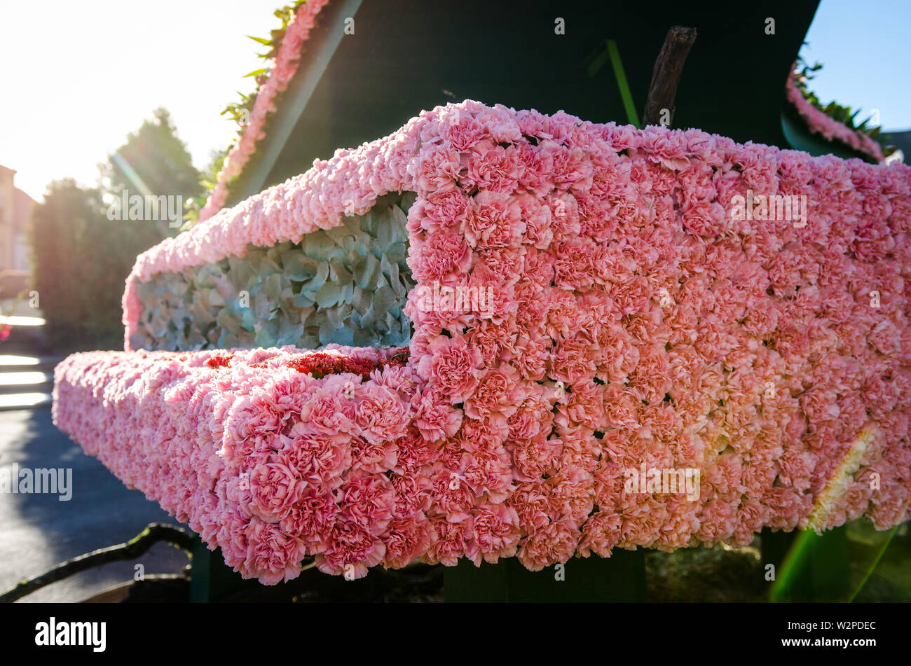 Autunno Flower Show in Arad Romania Foto Stock