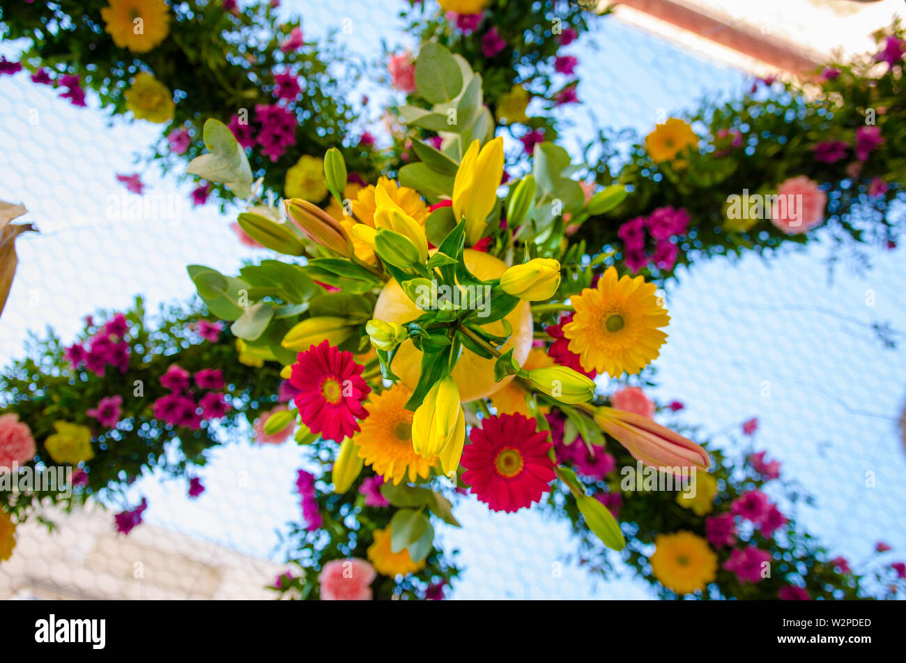 Autunno Flower Show in Arad Romania Foto Stock