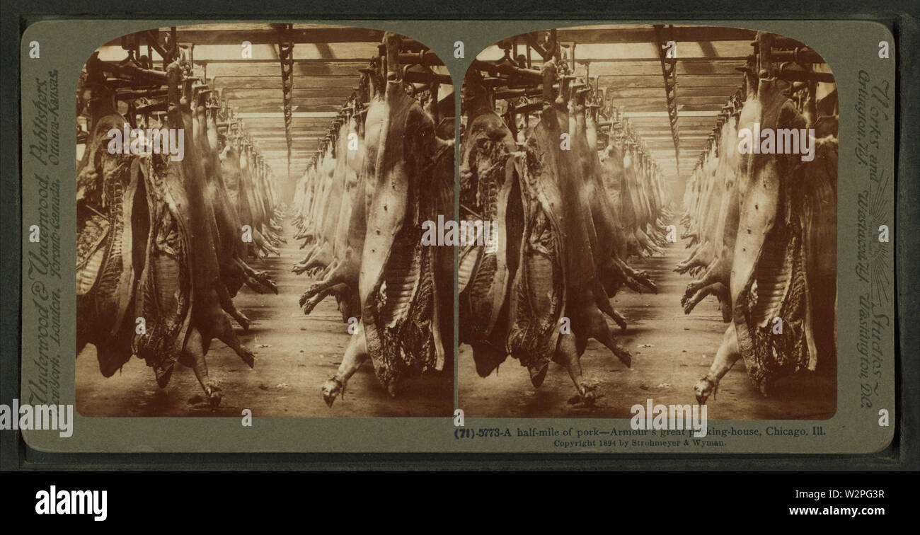 Un mezzo miglio di carne di maiale, armature della grande casa di imballaggio, Chicago, Ill, da Robert N Dennis raccolta di vista stereoscopica Foto Stock