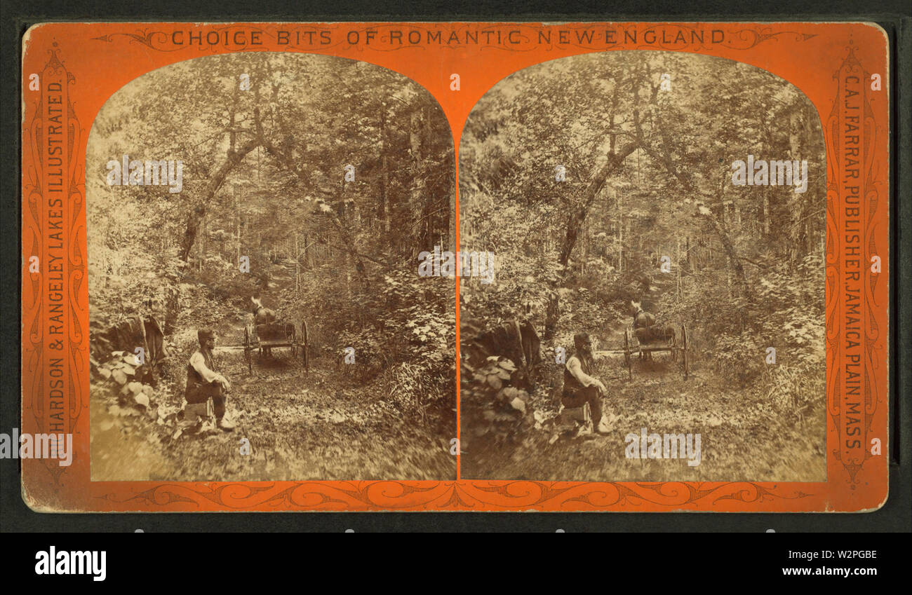 Un uomo mette in pausa con il suo cavallo e buggy su una stretta corsia rurale, da Farrar, Charles A J (Charles Alden John) , d 1893 Foto Stock