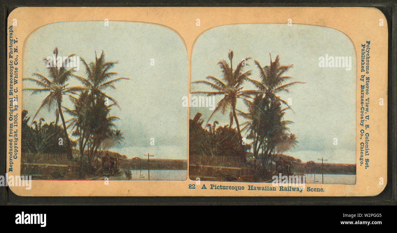 Una pittoresca ferrovia hawaiano scena, dal bianco HC Co Foto Stock