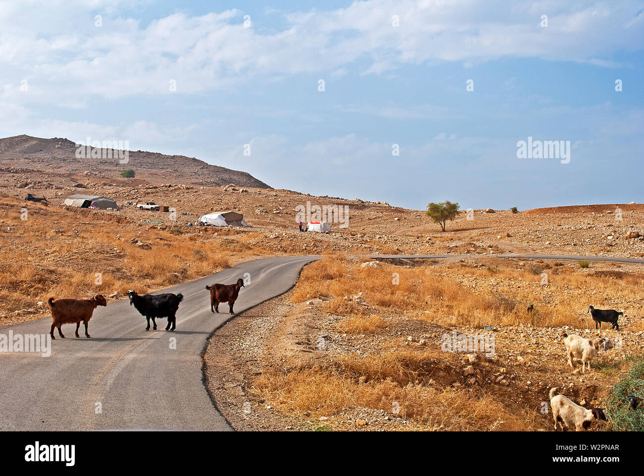 Strada stretta a Wadi Bin (Ibn) Hammad (Giordania), profondamente eroso nella roccia è permanentemente riempito da (caldo) molle. Esso tumuli nel Mar Morto. Foto Stock