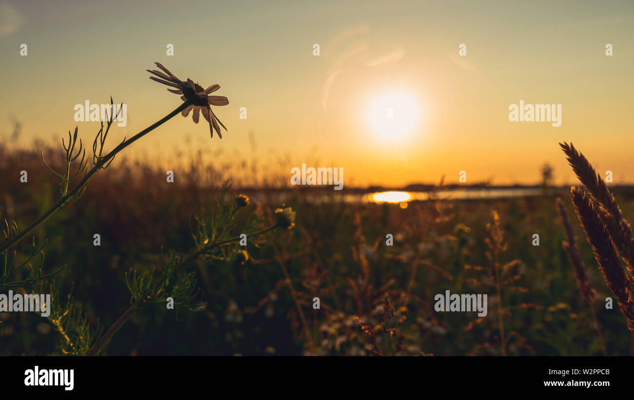 Idilliaco paesaggio di campagna prima del tramonto, in estate Foto Stock