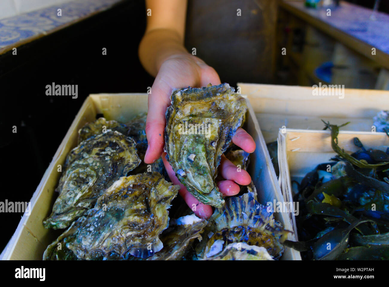 Cozze olandese venduto per strada fair Foto Stock