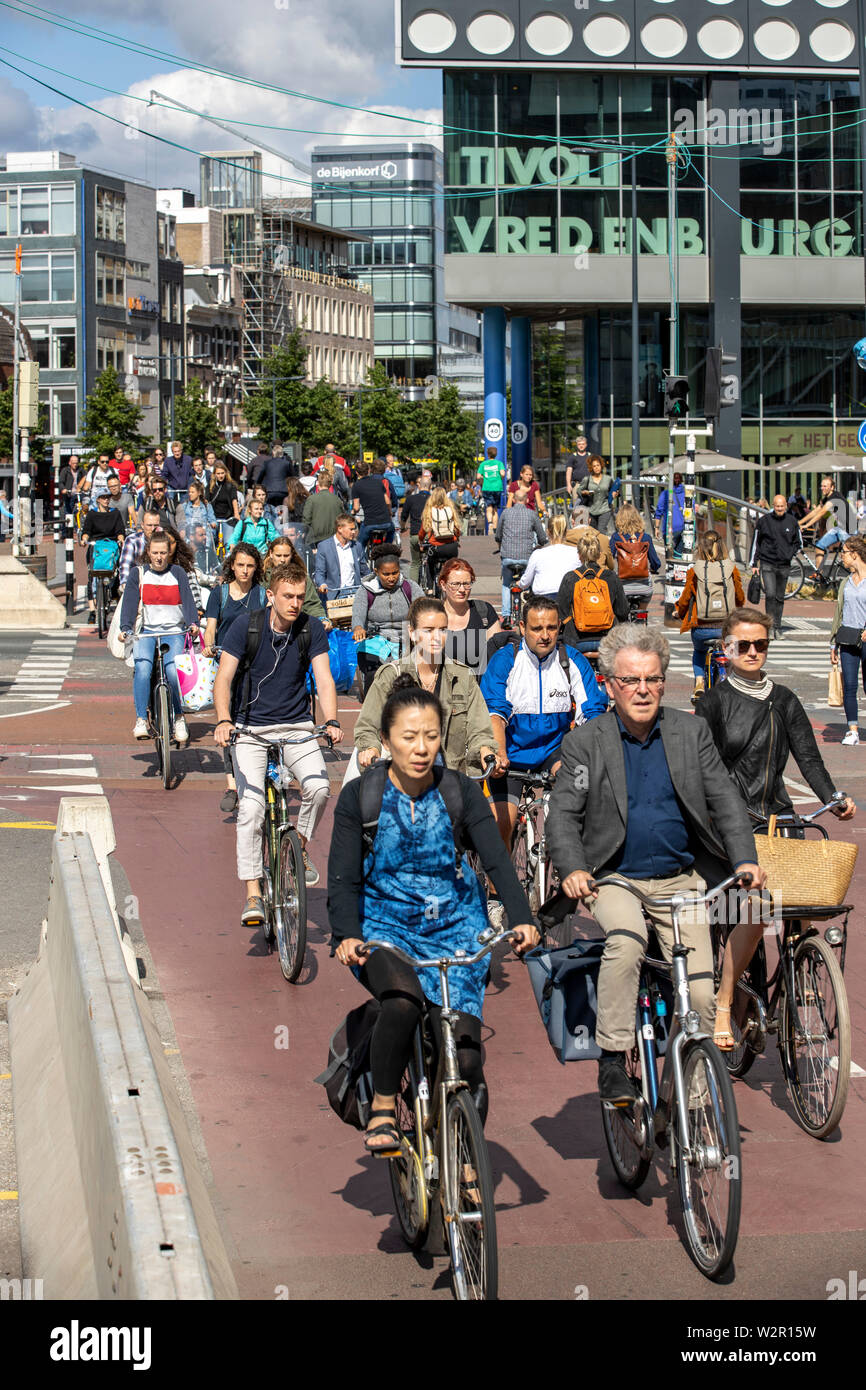 Utrecht, Paesi Bassi, noleggio il traffico nel centro della città, 60% di Utrecht cittadini viaggiano in bicicletta in città interna della città ciclabile, pista ciclabile, cy Foto Stock