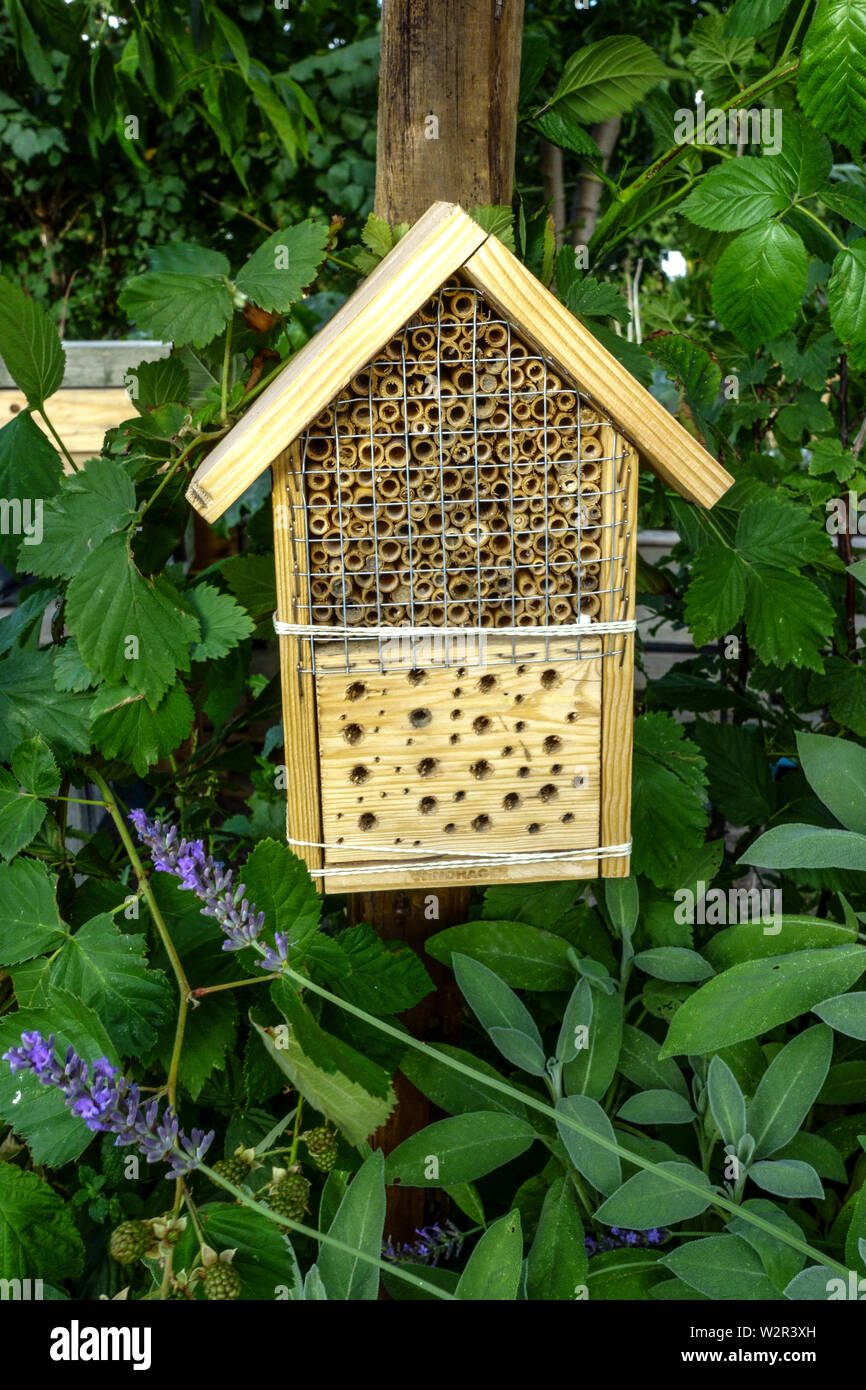 Piccolo bug hotel per insetti da giardino Foto Stock