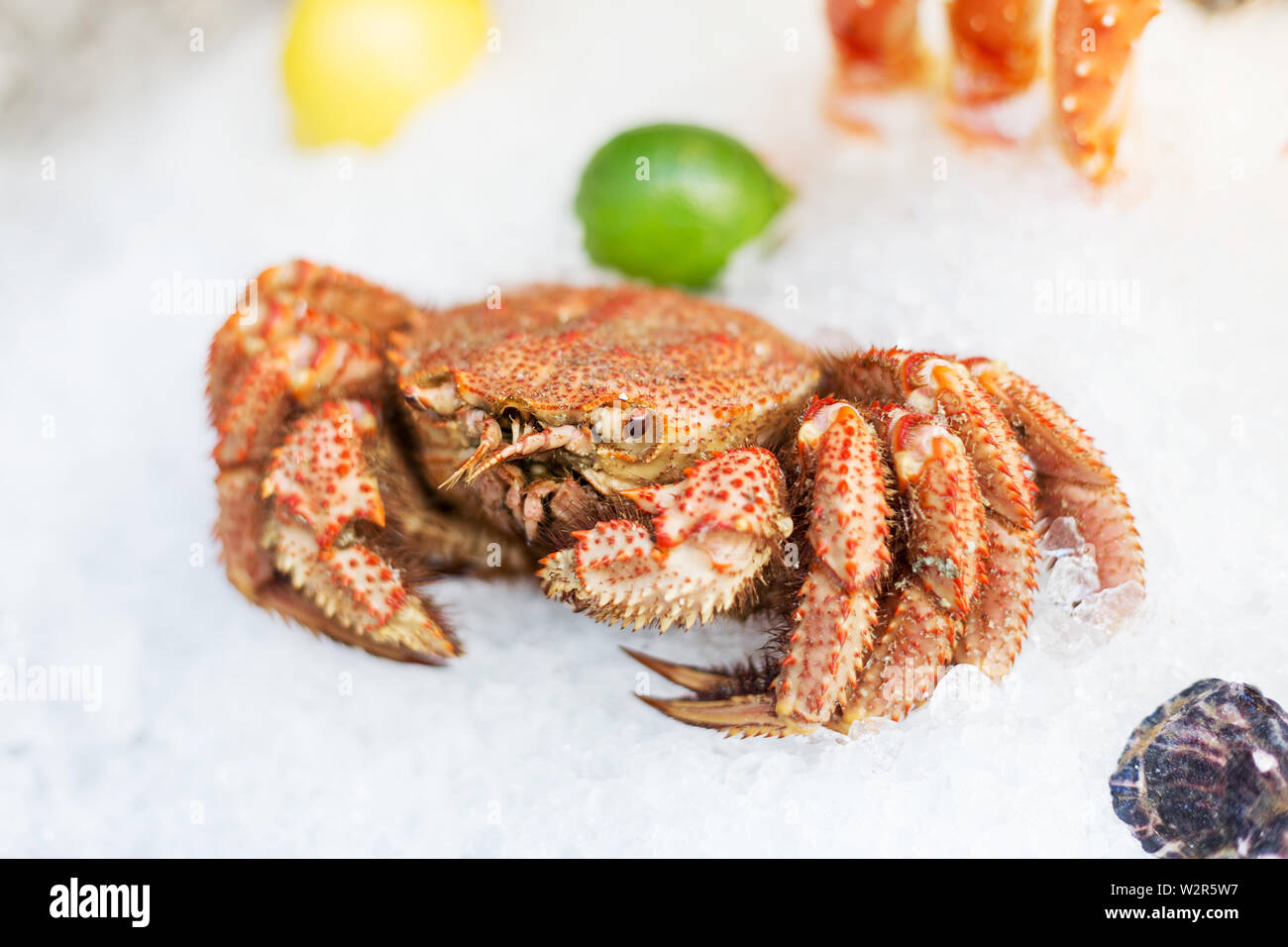 Il granchio intero su ghiaccio con calce sulla street food festival Foto Stock