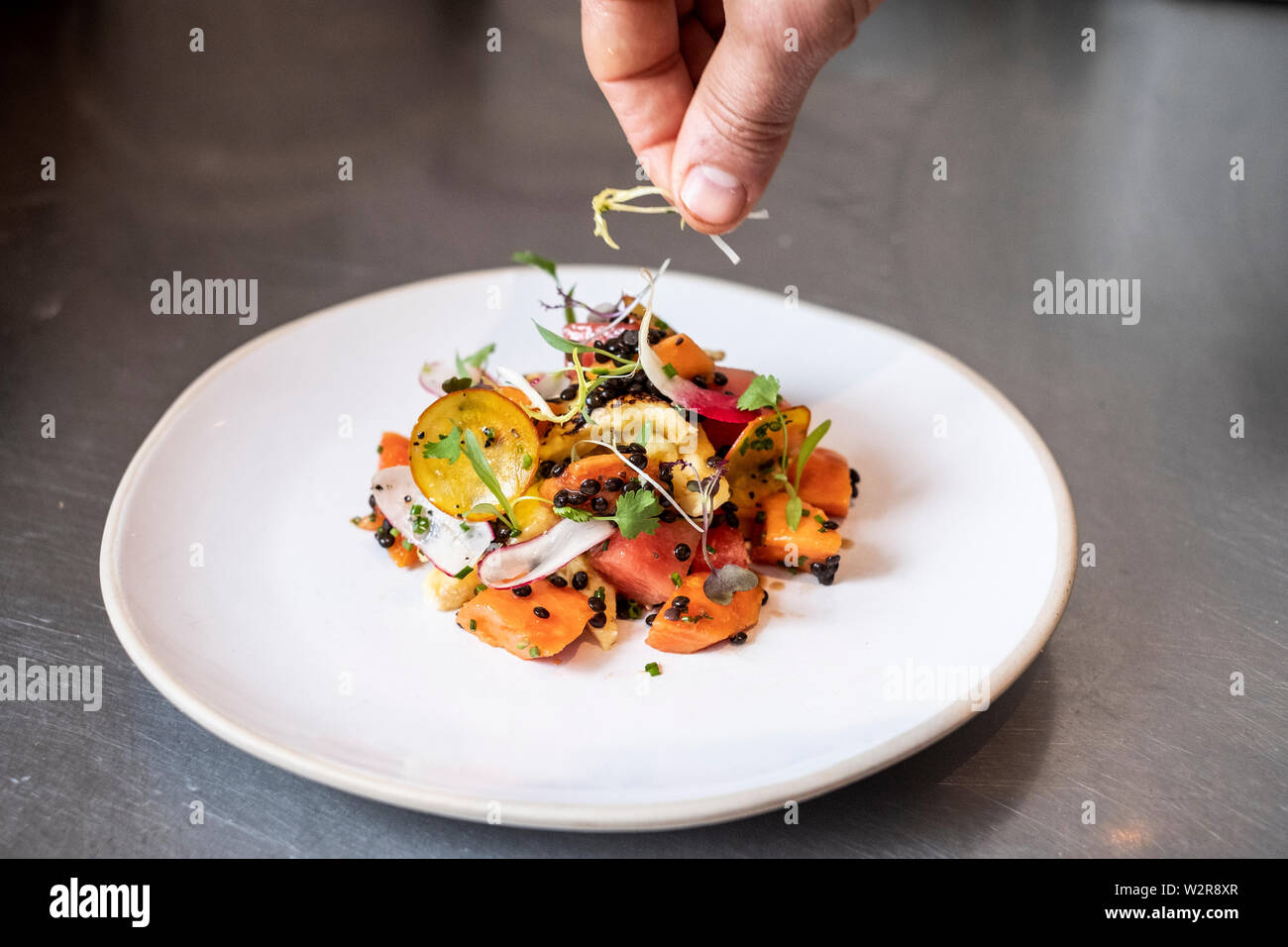 Angolo alto close up di persona la piastra di farcitura di insalata con alcune erbe. Foto Stock
