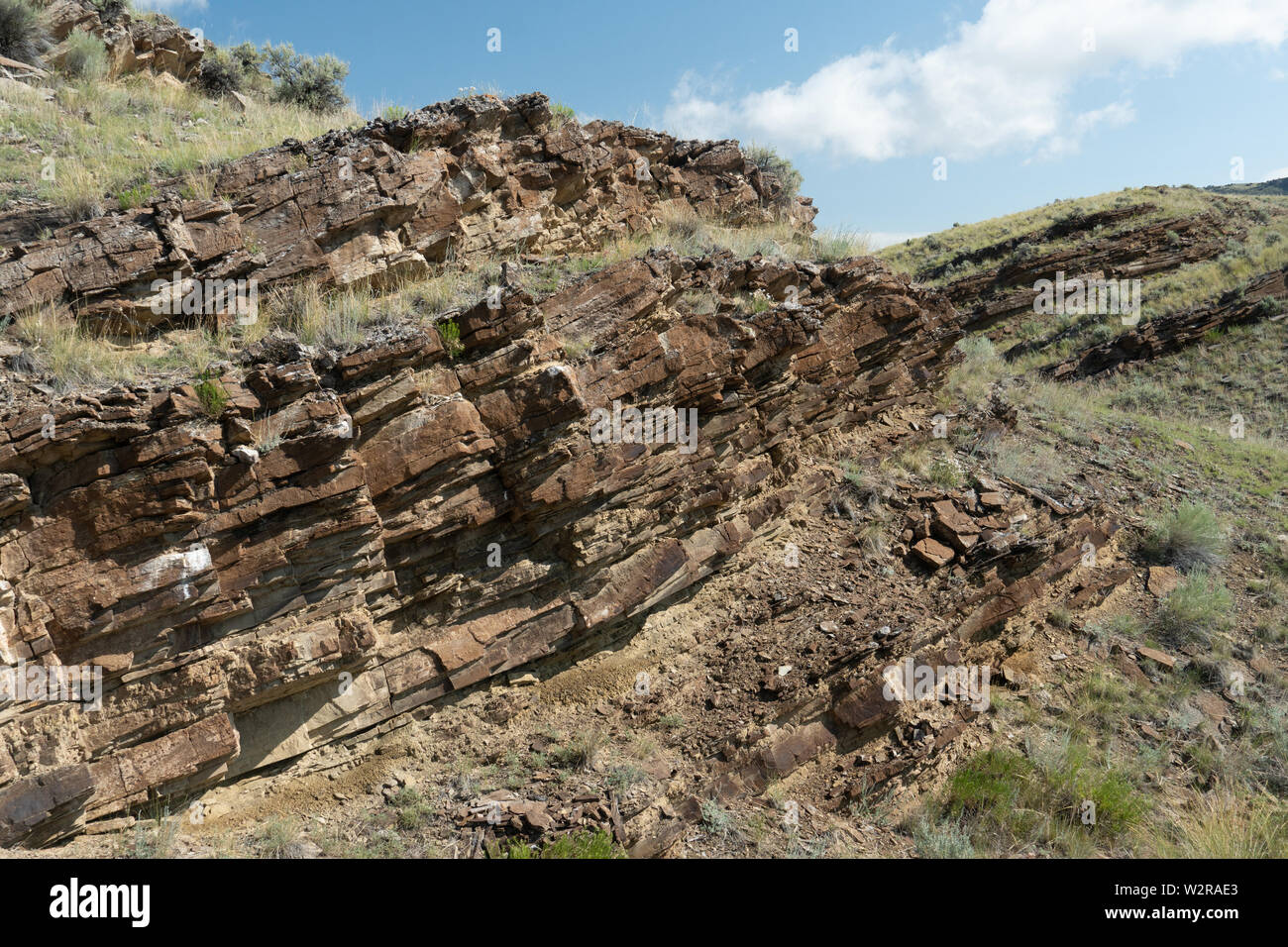 Calcare triassico della formazione Dinwoody tagliare fuori sulla scogliera, Montana, USA Foto Stock