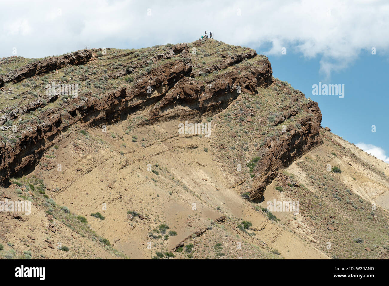Anomalie reggispinta spostando marrone letti di pietra calcarea del Triassico formazione Dinwoody, Montana, USA Foto Stock