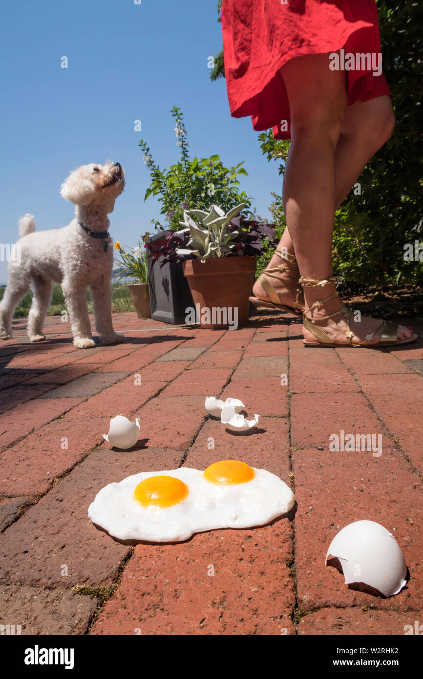 L'espressione "è abbastanza caldo per friggere uova su un marciapiede' è usato durante una ondata di caldo, STATI UNITI D'AMERICA Foto Stock