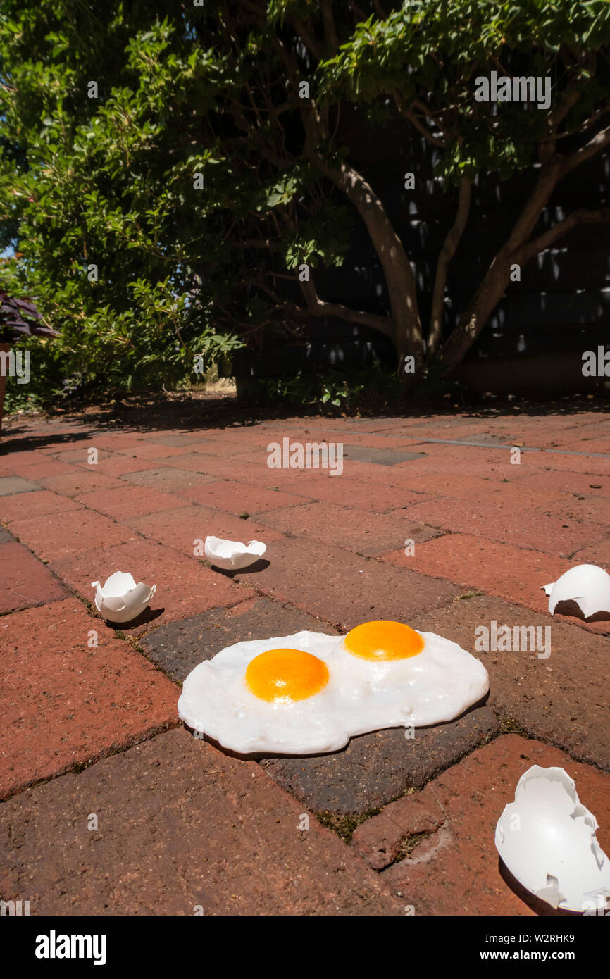 L'espressione "è abbastanza caldo per friggere uova su un marciapiede' è usato durante una ondata di caldo, STATI UNITI D'AMERICA Foto Stock