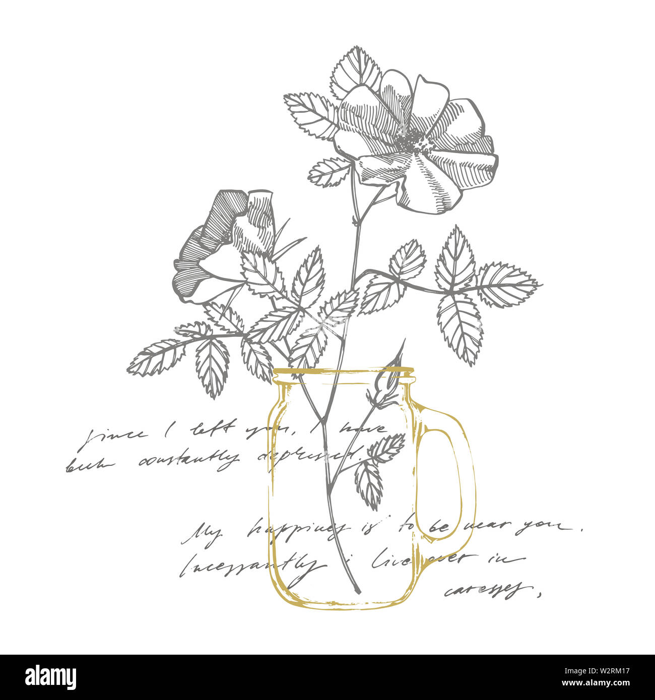 Wild rose fiori il disegno e lo schizzo di illustrazioni. Decorativo set floreali per tessuto, tessuto, carta da imballaggio, biglietto invito, sfondo, web design Foto Stock