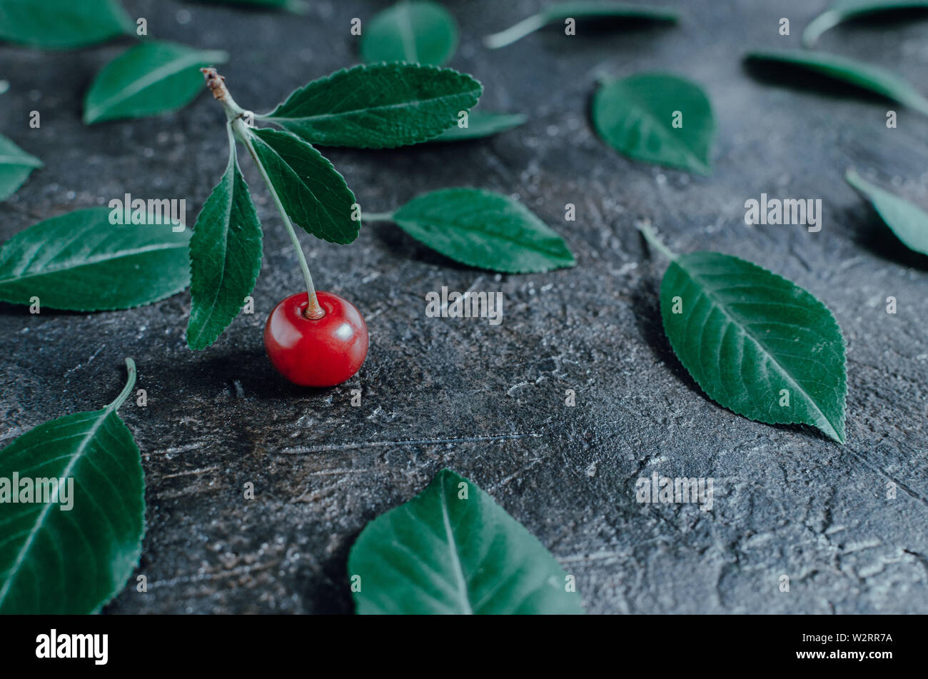 Una ciliegia matura tra i caduti foglie verdi sul pavimento di calcestruzzo. Foto Stock