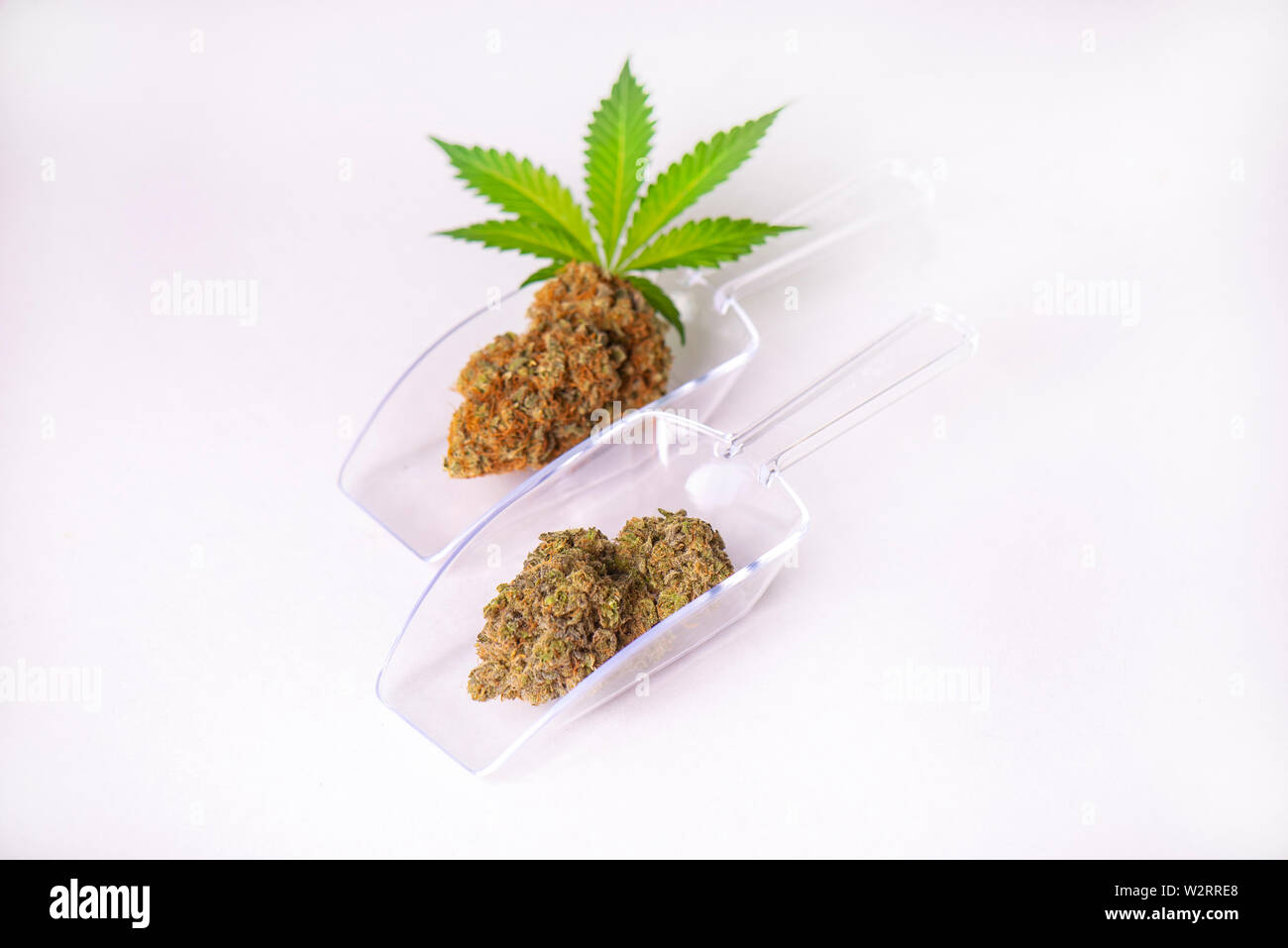 Essiccata la cannabis gemme con foglia di marijuana isolate su sfondo bianco, la marijuana medica nozione Foto Stock