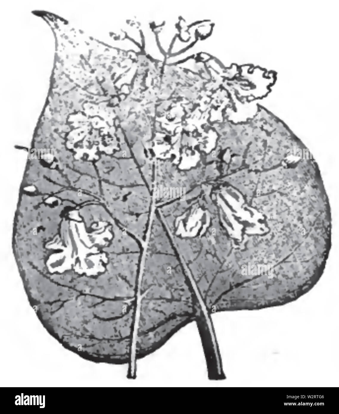 Per bambini picture book pg 10 Foto Stock