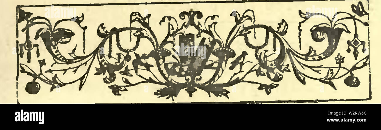 Capitolo1-sel Foto Stock