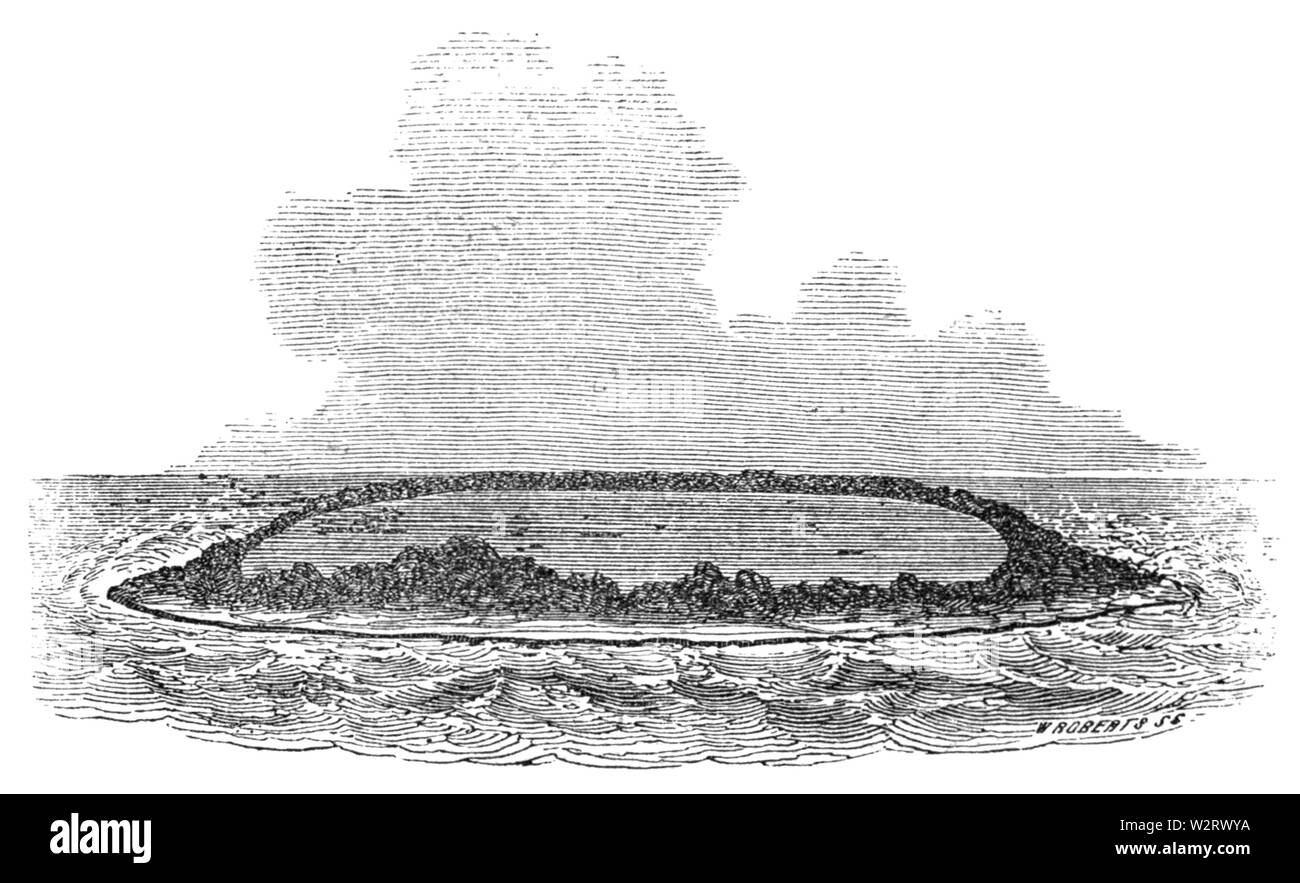 Circolare di Barriera Corallina e la laguna, incisione da W Roberts Foto Stock