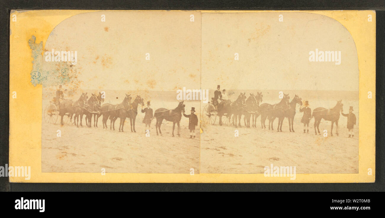 Cocchieri, cavalli e carrello, da Robert N Dennis raccolta di vista stereoscopica Foto Stock
