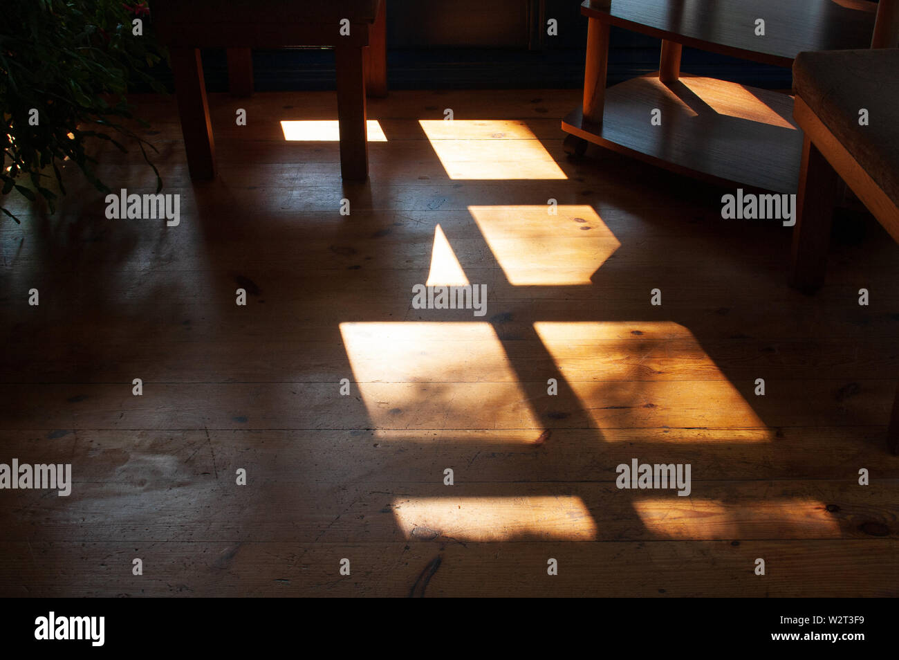 Bella calda luce e ombra da finestra sul pavimento in legno Foto Stock