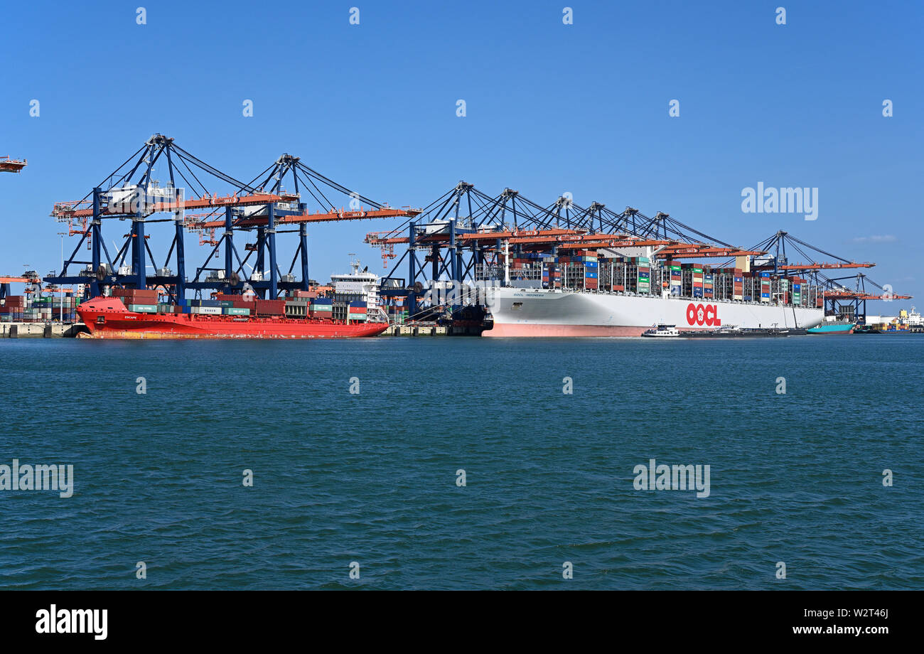 Porto di Rotterdam, Paesi Bassi - 31 marzo 2018: navi container escape (IMO 9491501#) 1436 TEU e oocl indonesia (imo# 9776224) 21413 TEU caricamento Foto Stock