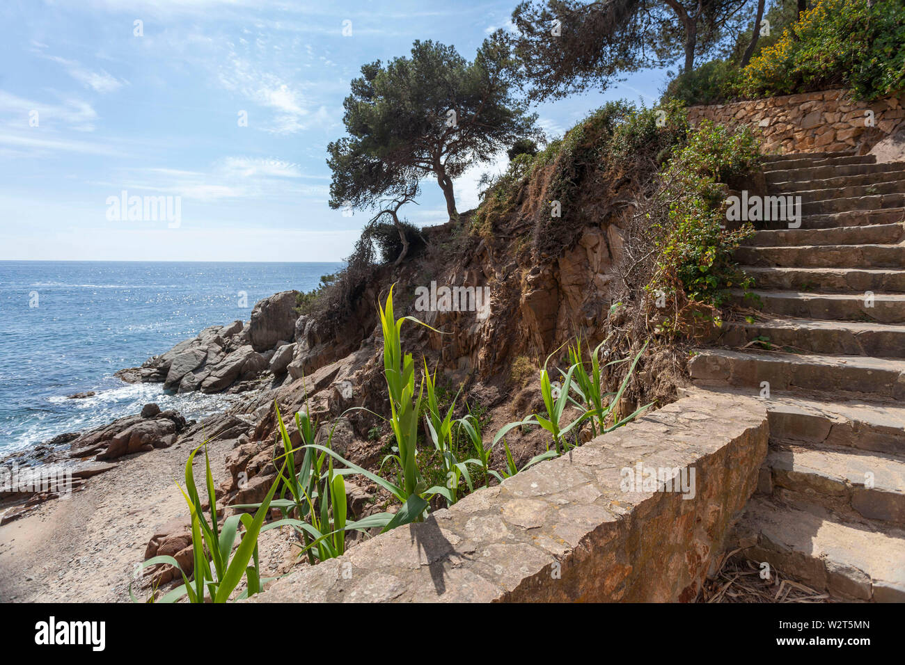 Il sentiero, Cami de Ronda a Lloret de Mar, Costa Brava, Catalogna, Spagna. Foto Stock