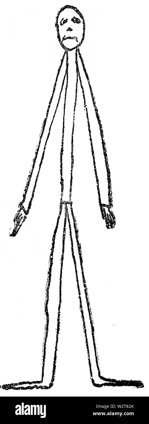 Daddy Long Legs - Pagina 45 Foto Stock