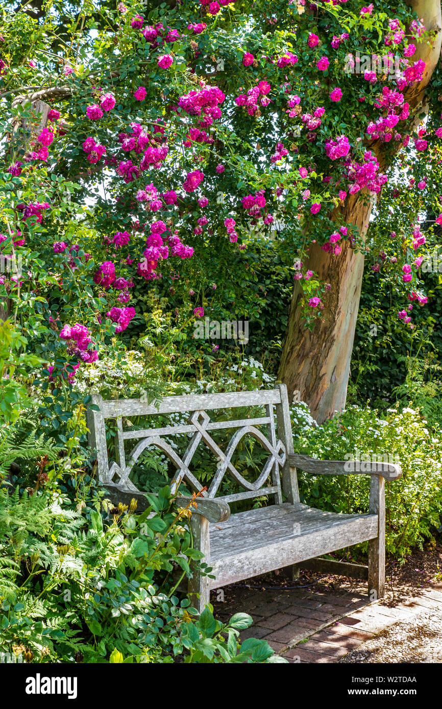 Giardino di rose con oasi di tranquillità. Tradizionale panca giardino in legno con vista sui giardini con rose vibranti in piena fioritura primaverile che formano un attraente e colorato arco naturale sopra. Foto Stock
