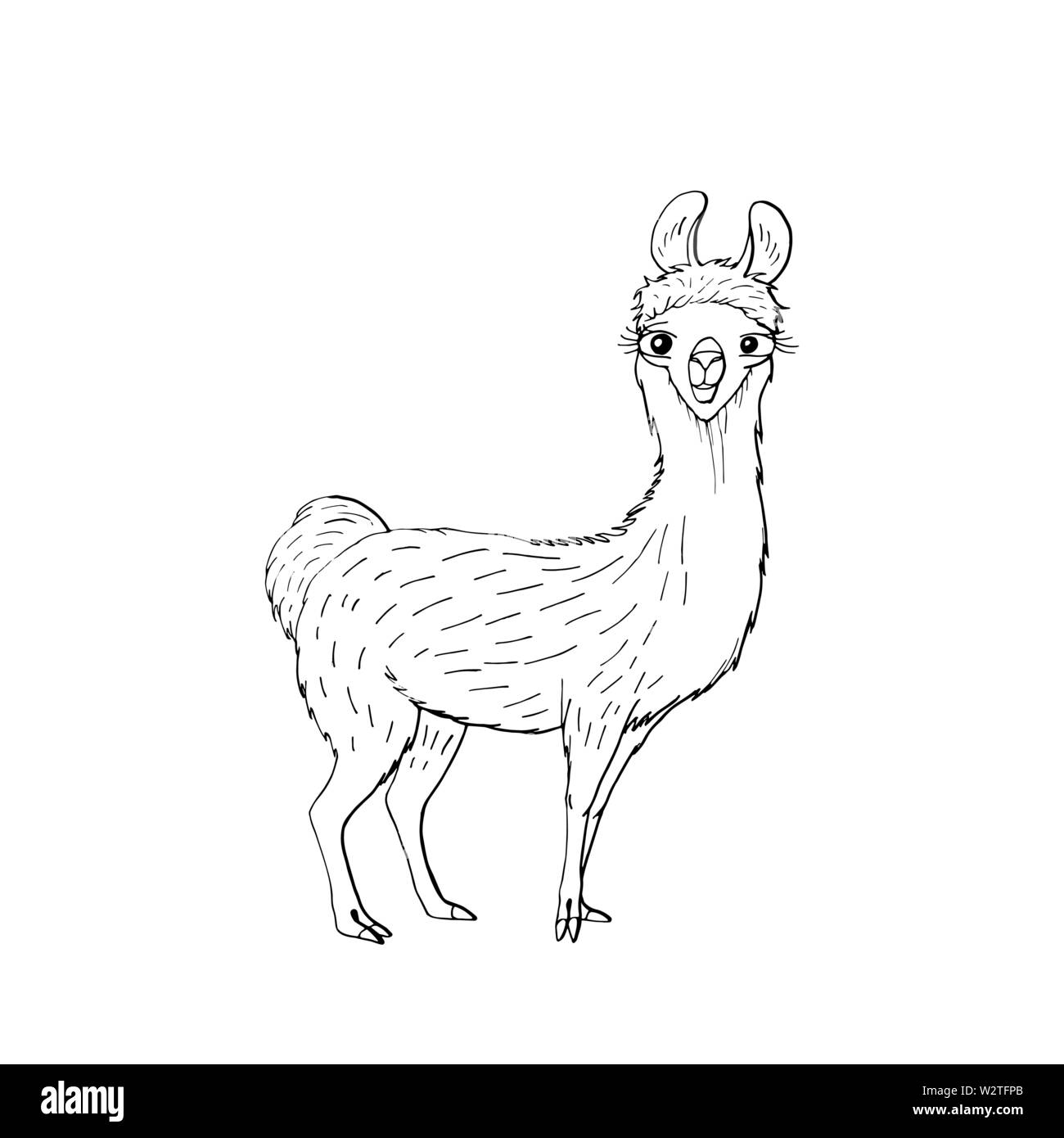 Marrone animale Foto e Immagini Stock in Bianco e Nero - Pagina 3 - Alamy