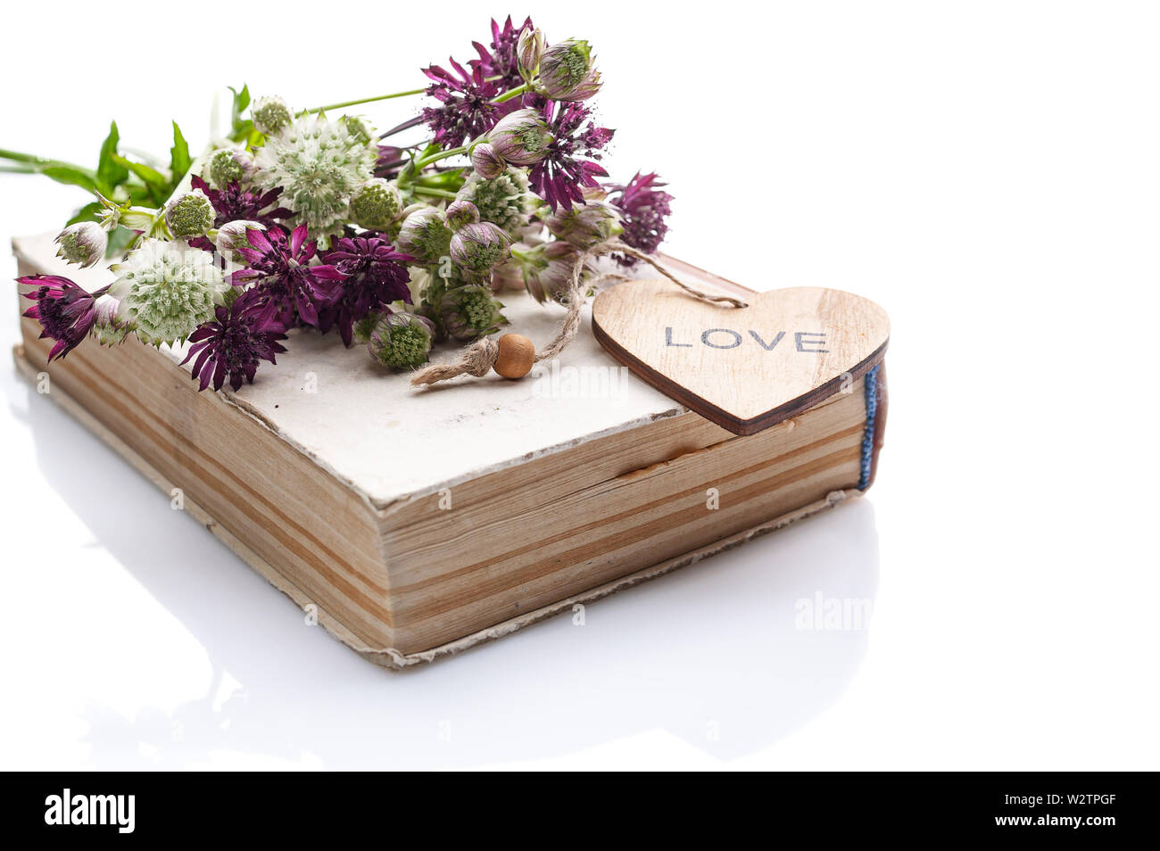 Bouquet di fiori selvatici sul vecchio libro su uno sfondo bianco. Isolato composizione vintage Foto Stock
