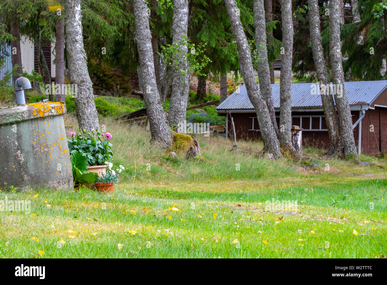 Estate scena su una delle tante isole dell arcipelago di Finlandia. Foto Stock