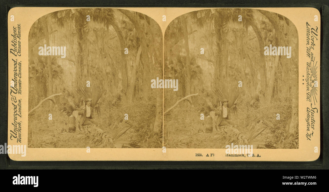 Florida amaca, da Robert N Dennis raccolta di vista stereoscopica 2 Foto Stock