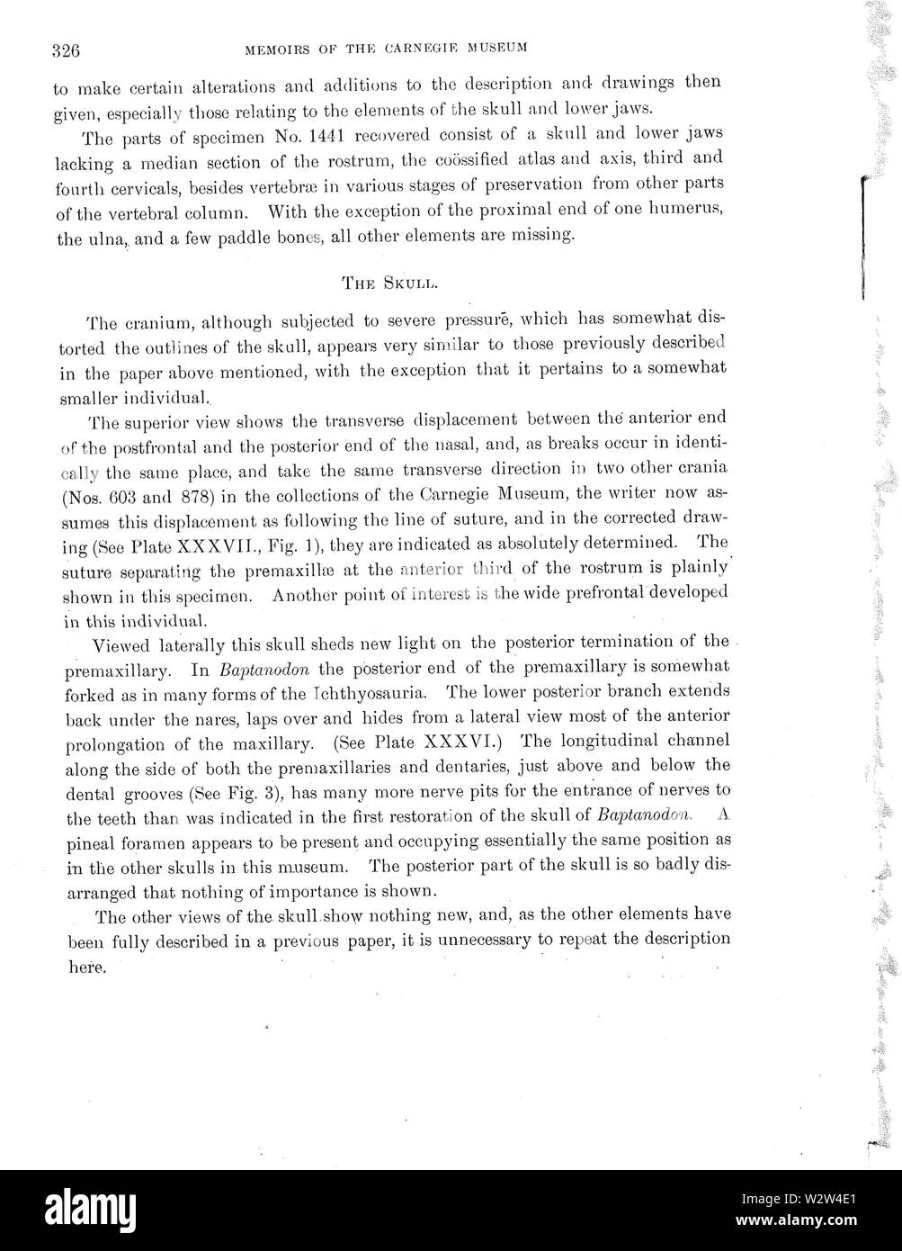 GilmoreBaptan-002 Foto Stock