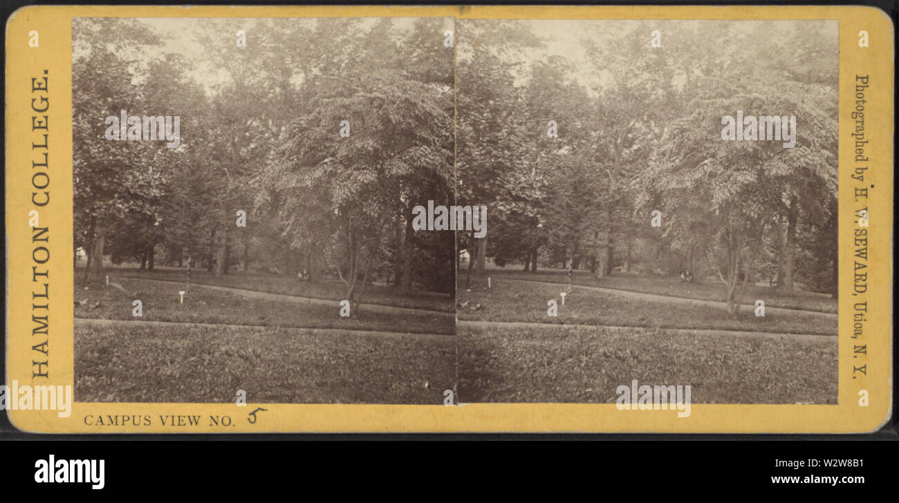 Hamilton college campus visualizza n. 5, da Seward, H W H Walton), d 1871 Foto Stock
