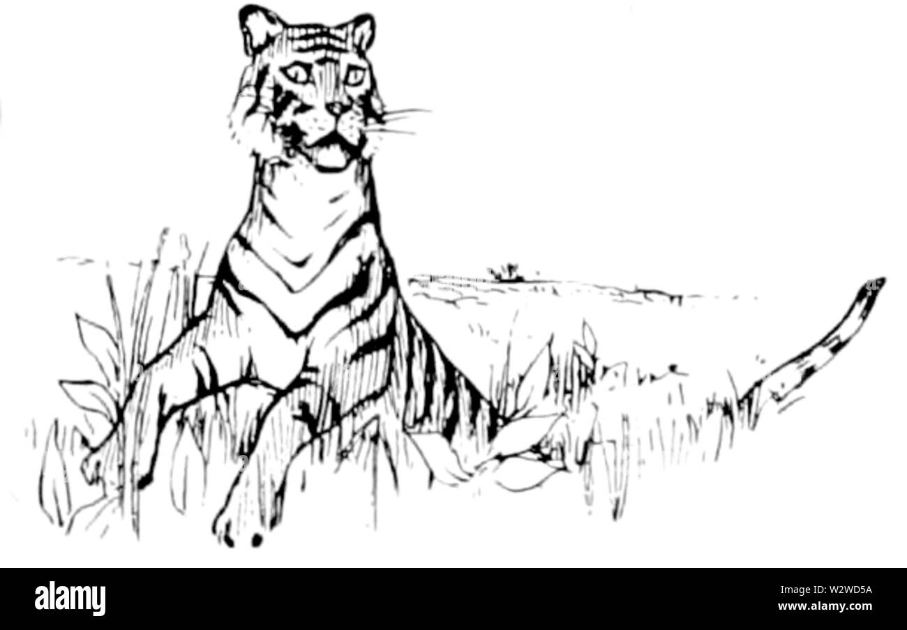 Illustrazione (b) riquadro a pagina 6 indiana di favole (1892) Foto Stock