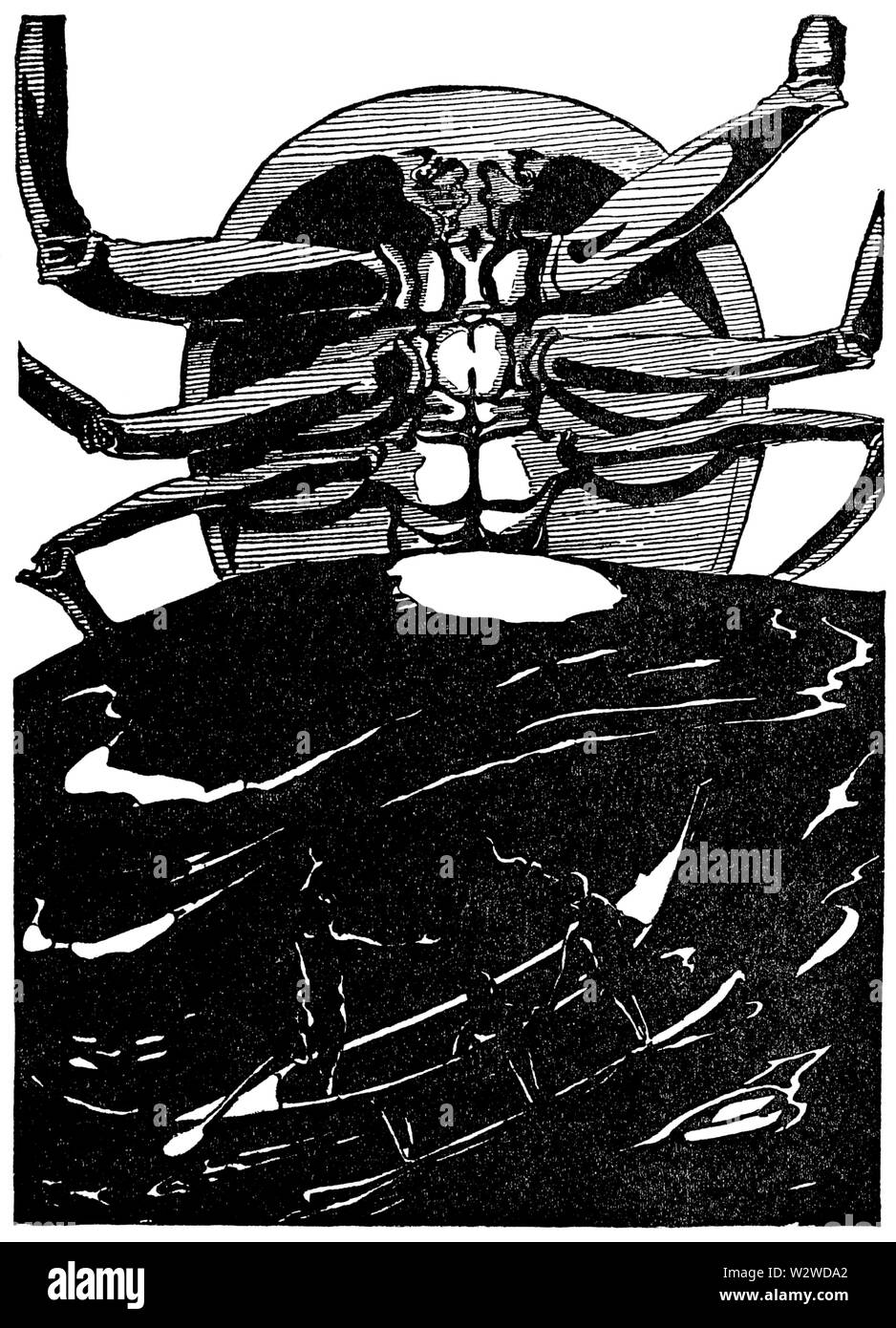 Illustrazione a p 185 in soli in modo storie (c1912) Foto Stock
