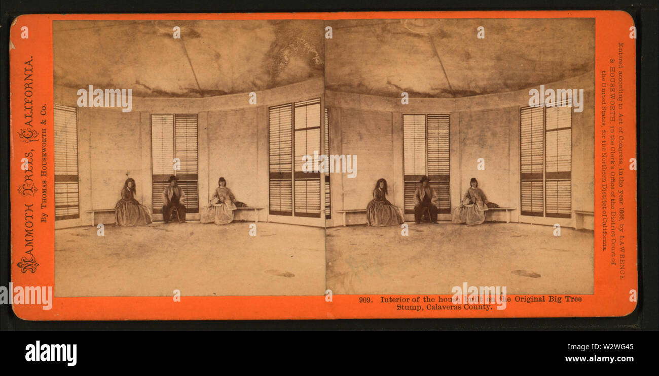 Interno della casa costruita sull'originale grande albero moncone, Calaveras County, da Lawrence & Houseworth 3 Foto Stock
