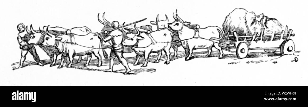 Jack e i Giganti image28 Foto Stock