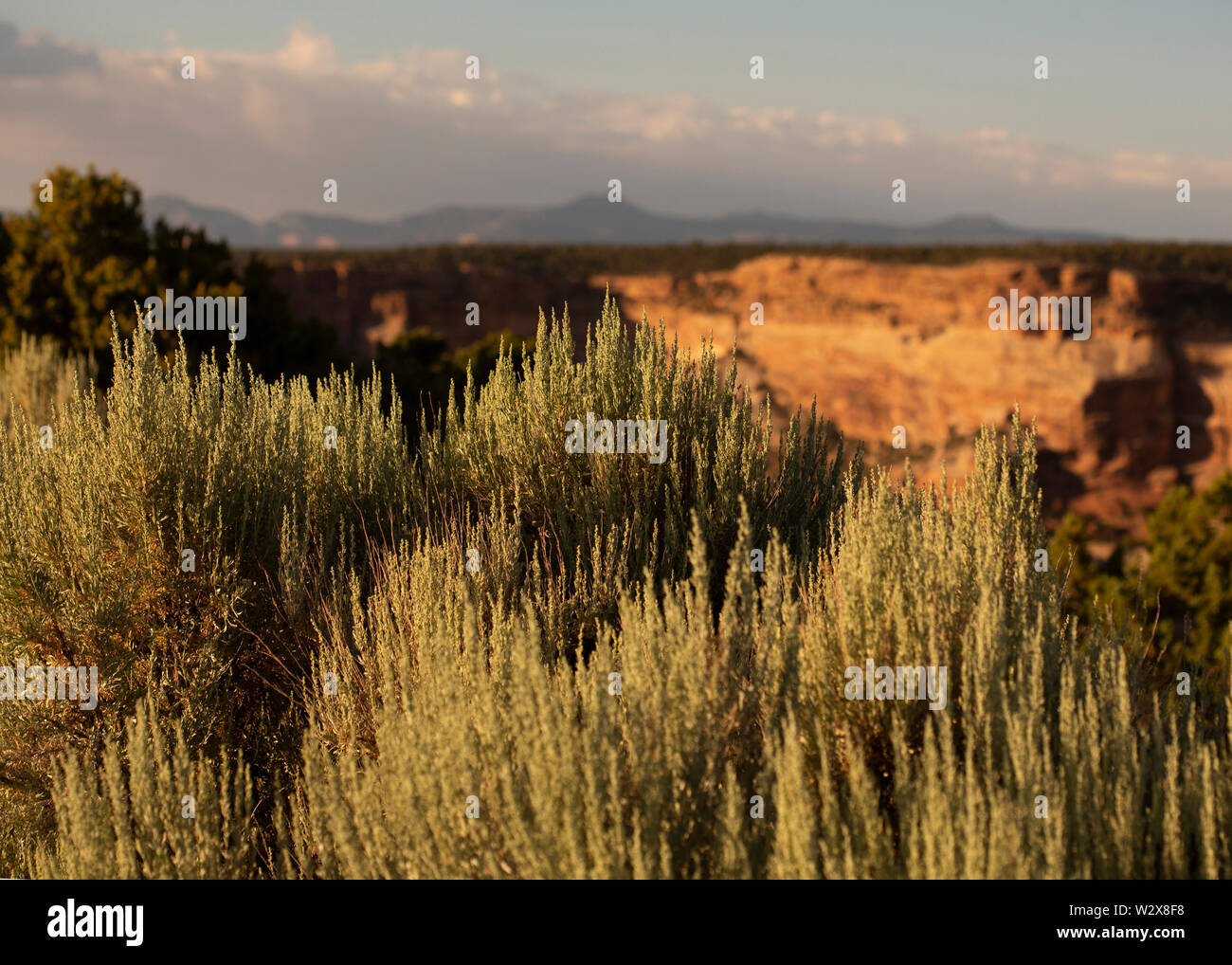 Scavi Archeologici al Canyon De Chelly National Monument, Navajo Nation, Arizona Foto Stock