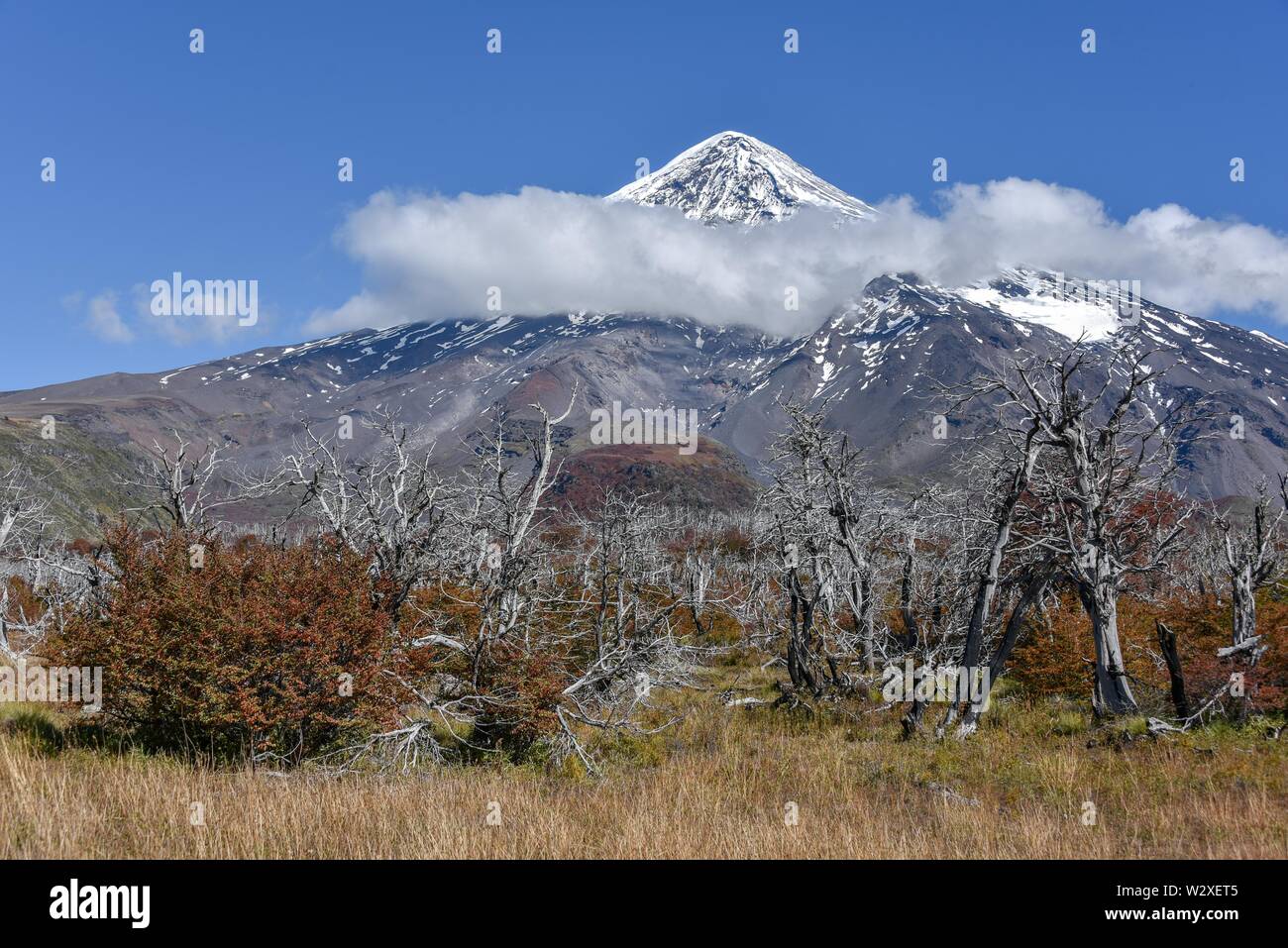 Coperta di neve vulcano Lanin, summit circondato dalle nuvole, tra San Martin de los Andes e Pucon, Parco Nazionale Lanin, Patagonia, Argentina Foto Stock