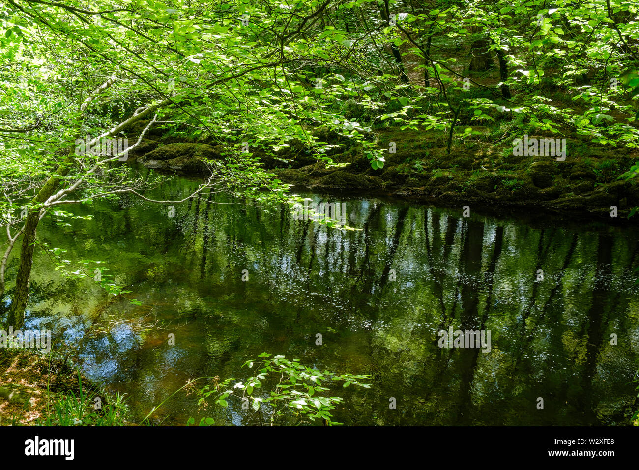 Riflessioni sul fiume Dart Dartmoor Devon England Foto Stock