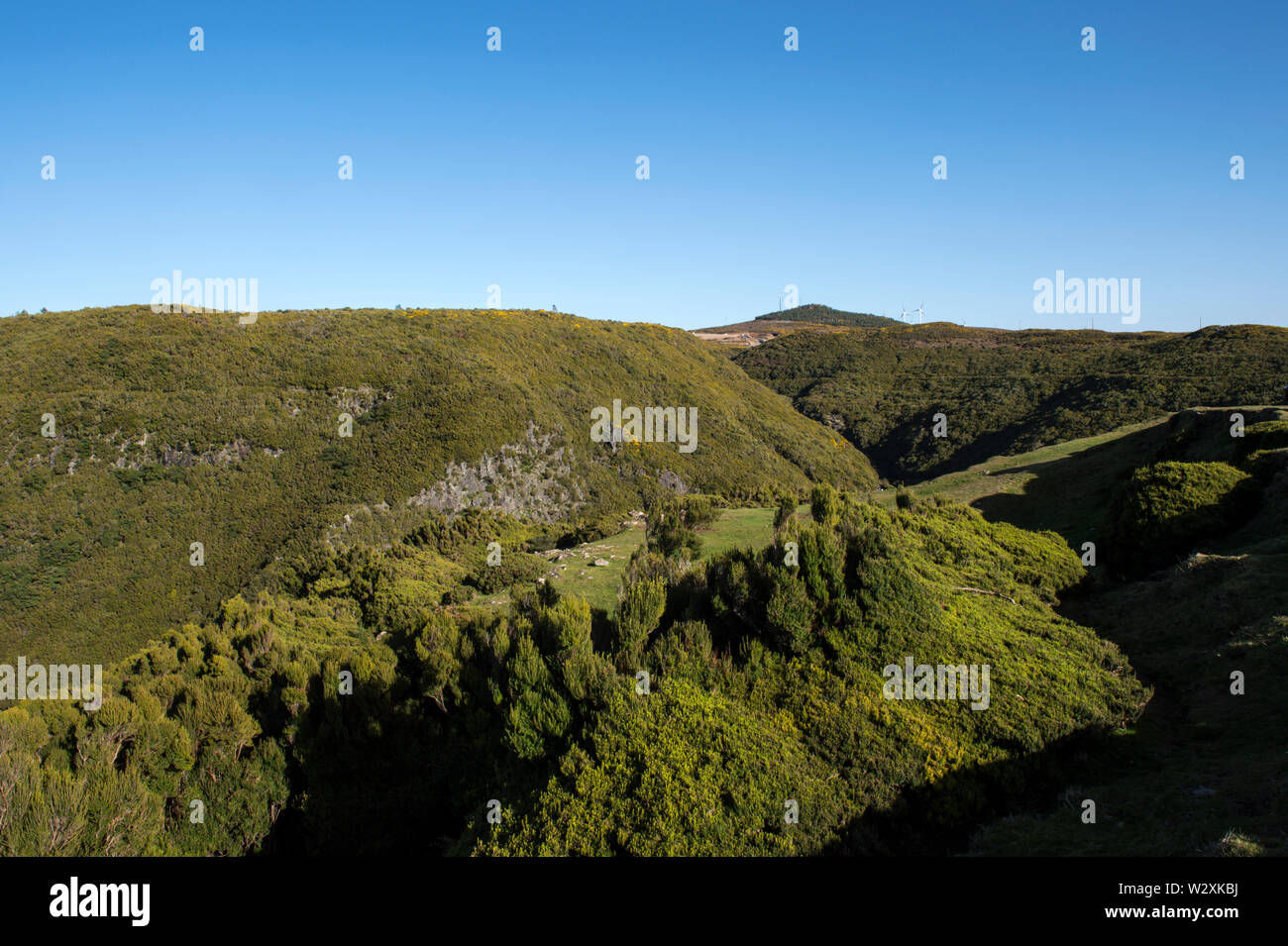 Il Portogallo, l'isola di Madeira, Paul da Serra altopiano, Levada do risco Foto Stock