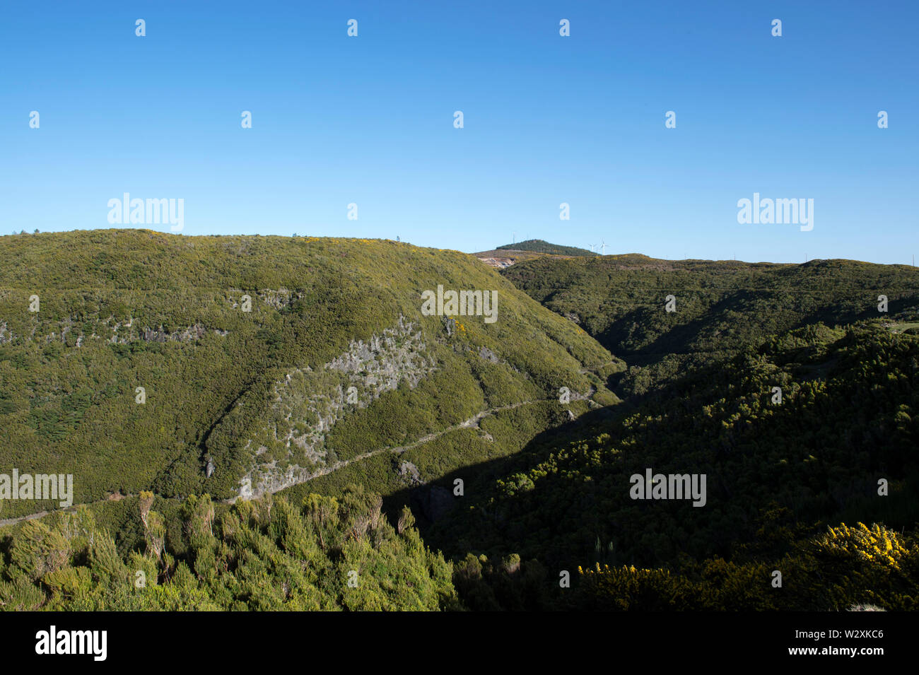 Il Portogallo, l'isola di Madeira, Paul da Serra altopiano, Levada do risco Foto Stock