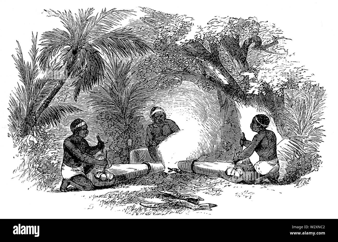 Il lago di Ngami-p203 Foto Stock