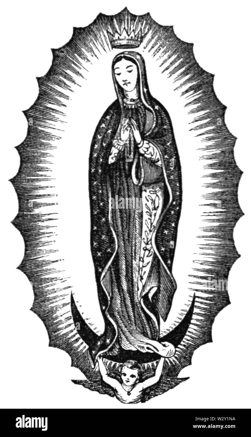 MASR V2 D312 la Vergine di Guadalupe Foto Stock