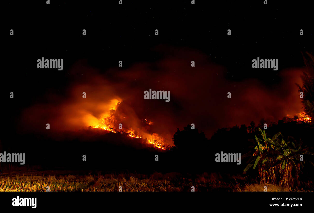 Il fuoco era di bruciare gli alberi sulla montagna di notte con tutte le stelle nel cielo. Foto Stock