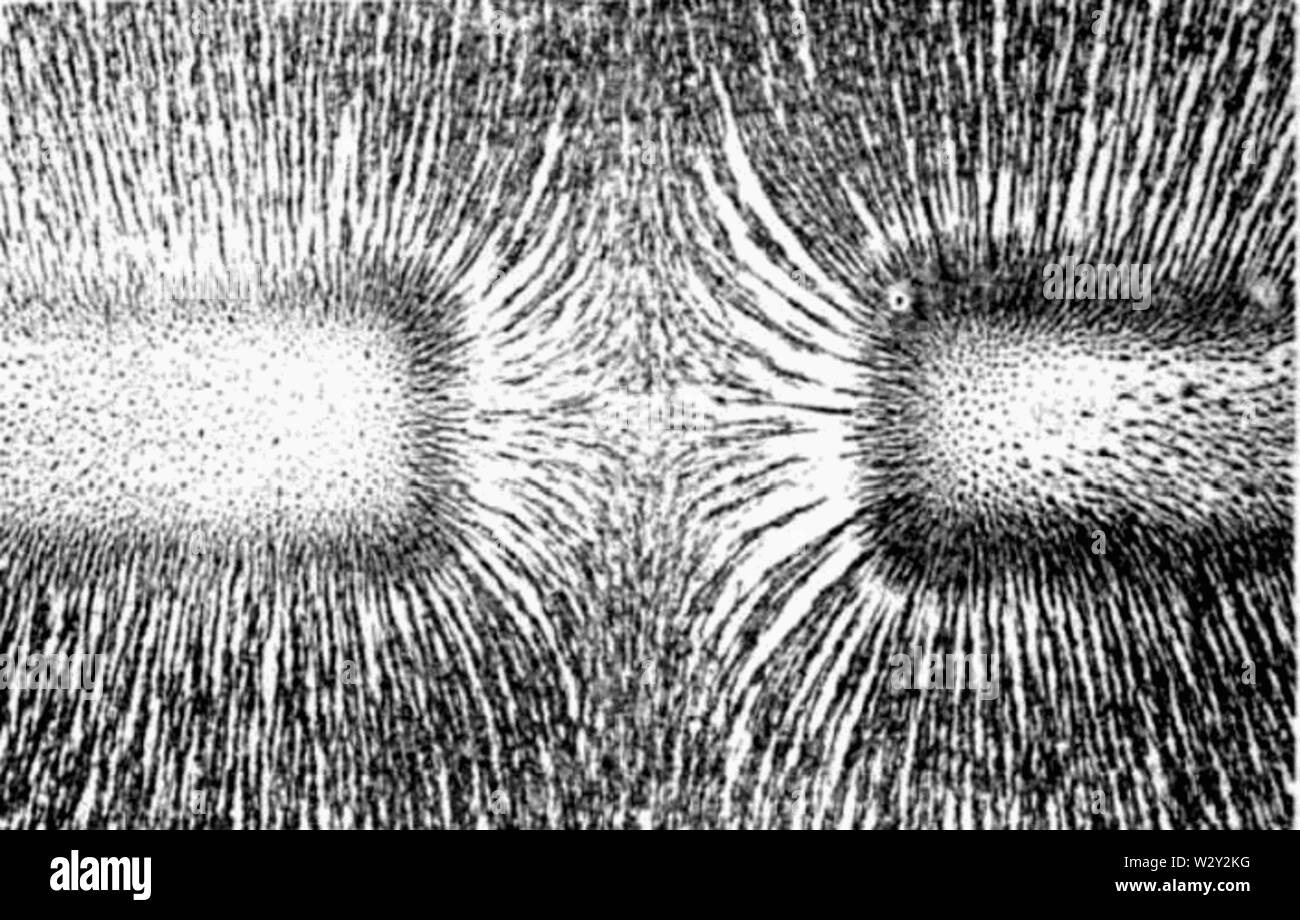 Campo magnetico della barra di repulsione dei magneti Foto Stock