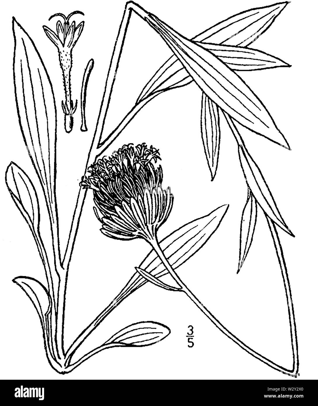 Magr7 001 pvd Foto Stock