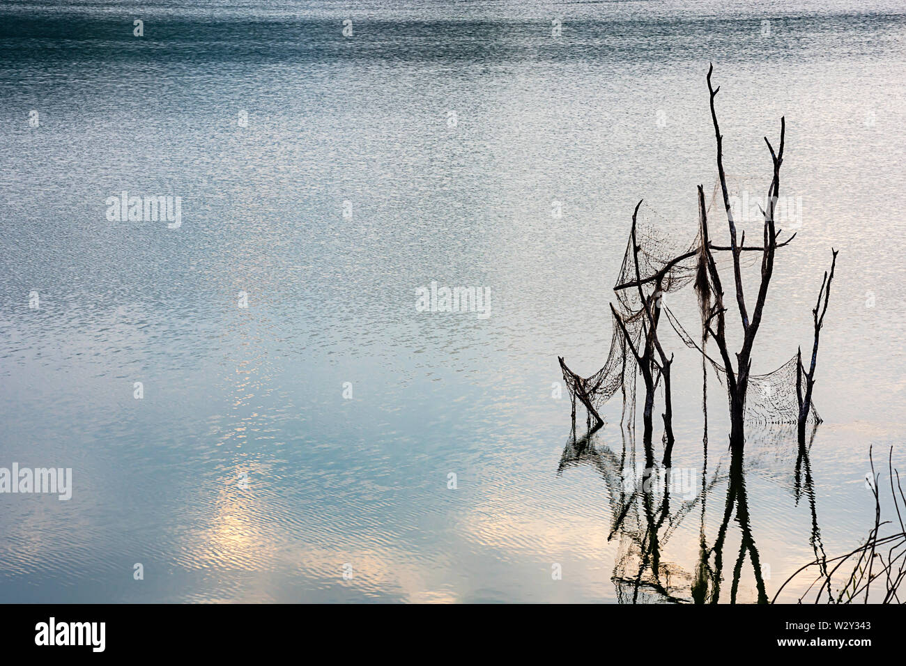 Gli alberi muoiono in acqua e reti da pesca di Wang Bon dam Nakhon Nayok , della Thailandia Foto Stock