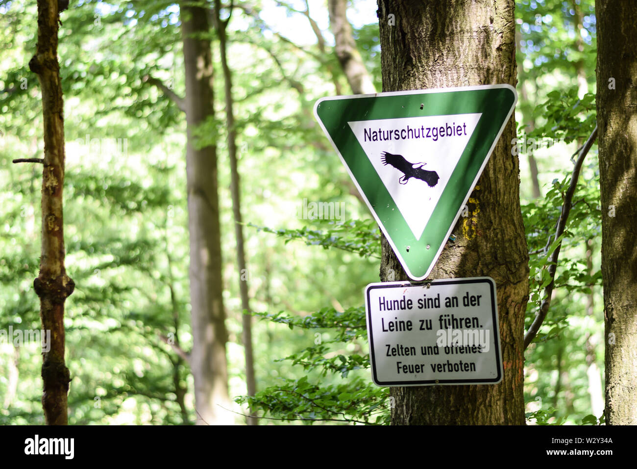 Segno tedesco dicendo Naturschutzgebiet (significato inglese: riserva naturale) per il paesaggio protetto - Hinweisschild Foto Stock